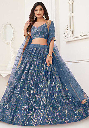 Embroidered Net Lehenga in Blue