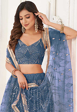 Embroidered Net Lehenga in Blue