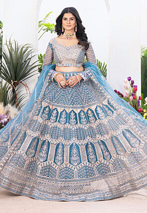 Embroidered Net Lehenga in Blue