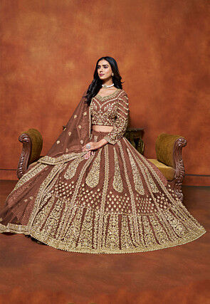 Embroidered Net Lehenga in Brown
