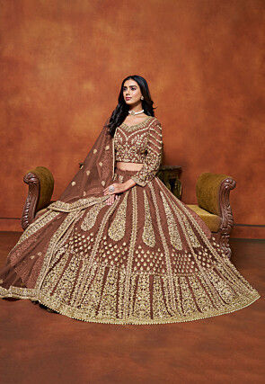 Embroidered Net Lehenga in Brown