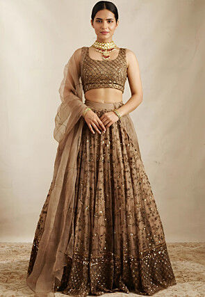 Embroidered Net Lehenga in Brown