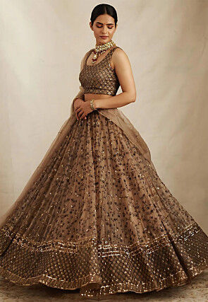 Embroidered Net Lehenga in Brown