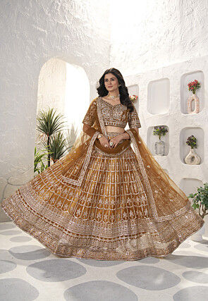 Embroidered Net Lehenga in Brown