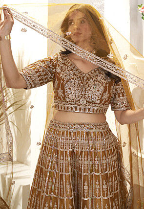 Embroidered Net Lehenga in Brown