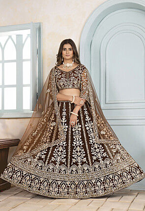 Embroidered Net Lehenga in Brown
