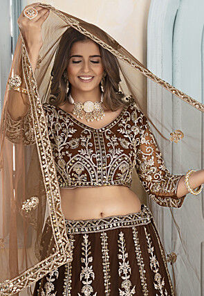 Embroidered Net Lehenga in Brown