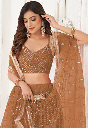 Embroidered Net Lehenga in Brown