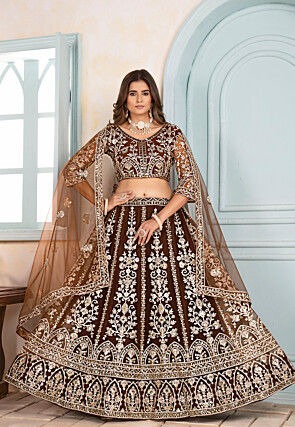 Embroidered Net Lehenga in Brown