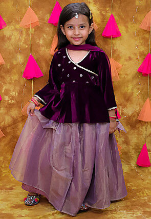 Embroidered Net Lehenga in Dusty Purple