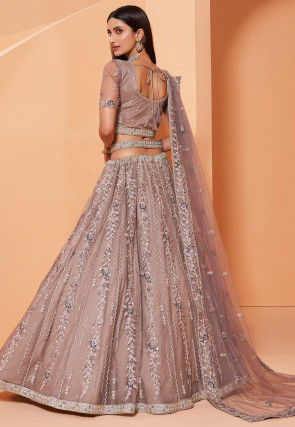 Embroidered Net Lehenga in Fawn
