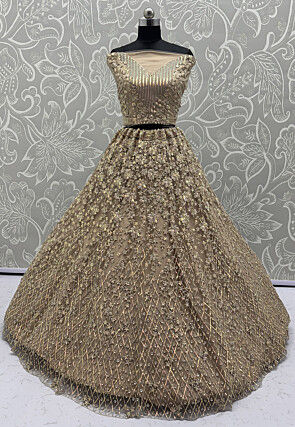 Embroidered Net Lehenga in Fawn