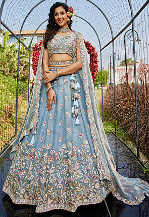 Embroidered Net Lehenga in Light Blue