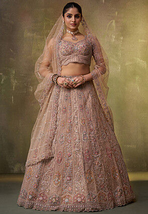 Embroidered Net Lehenga in Light Fawn