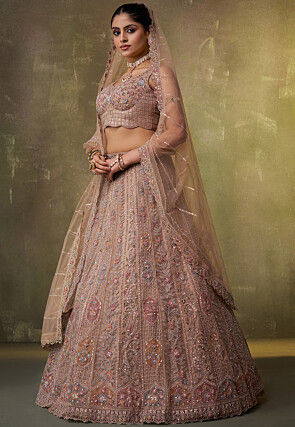 Embroidered Net Lehenga in Light Fawn