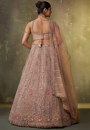 Embroidered Net Lehenga in Light Fawn