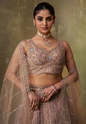 Embroidered Net Lehenga in Light Fawn