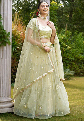 Embroidered Net Lehenga in Light Green