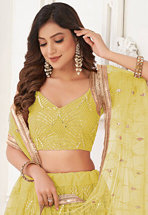 Embroidered Net Lehenga in Light Green