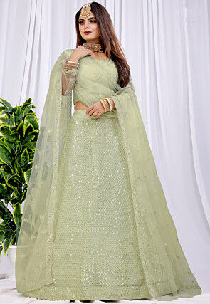 Embroidered Net Lehenga in Light Green