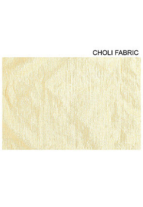 Embroidered Net Lehenga in Maroon