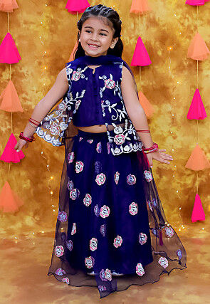 Embroidered Net Lehenga in Navy Blue