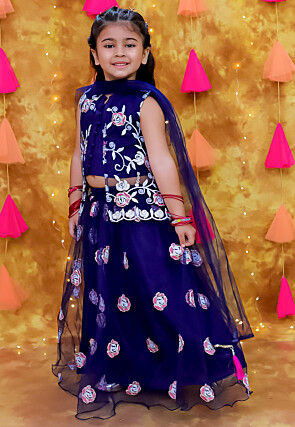 Embroidered Net Lehenga in Navy Blue