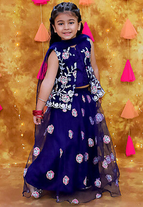 Embroidered Net Lehenga in Navy Blue