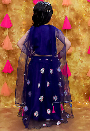 Embroidered Net Lehenga in Navy Blue