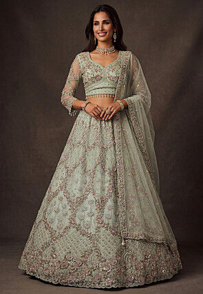Embroidered Net Lehenga in Pastel Green
