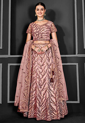 Embroidered Net Lehenga in Peach
