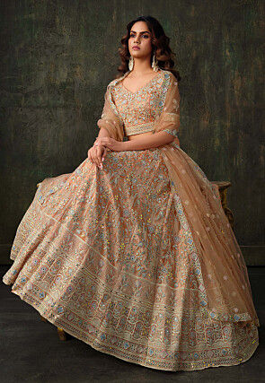 Embroidered Net Lehenga in Peach