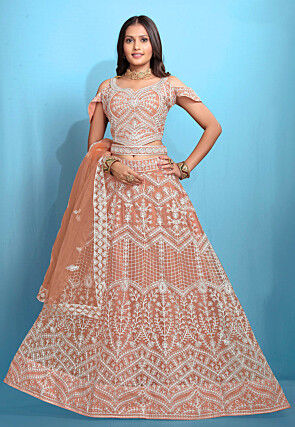 Embroidered Net Lehenga in Peach