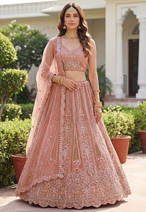 Embroidered Net Lehenga in Peach