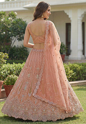 Embroidered Net Lehenga in Peach