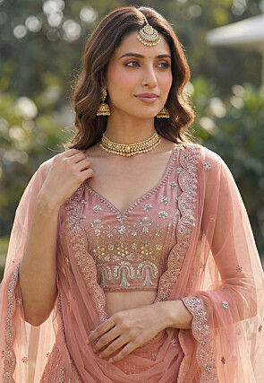 Embroidered Net Lehenga in Peach