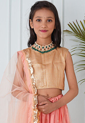 Embroidered Net Lehenga in Peach