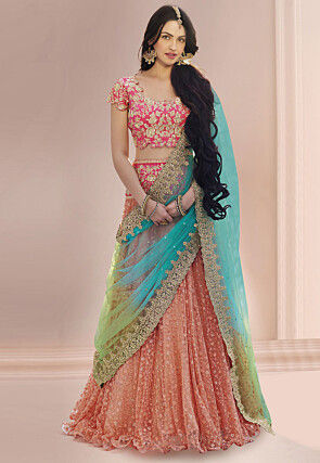 Embroidered Net Lehenga in Peach