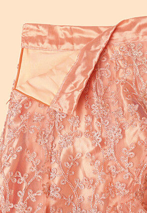 Embroidered Net Lehenga in Peach