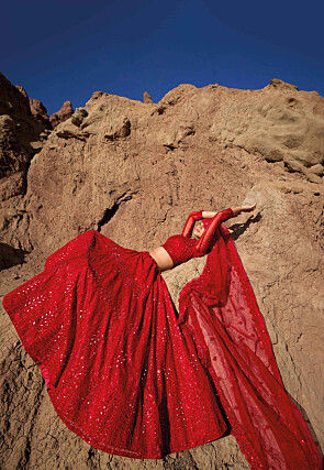 Embroidered Net Lehenga in Red