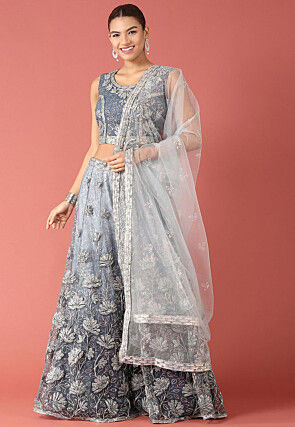 Embroidered Net Lehenga in Shaded Blue