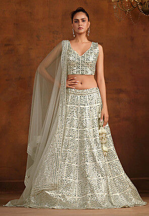 Embroidered Net Lehenga in White