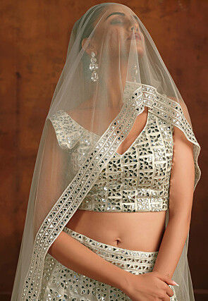 Embroidered Net Lehenga in White