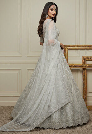 Embroidered Net Lehenga in White