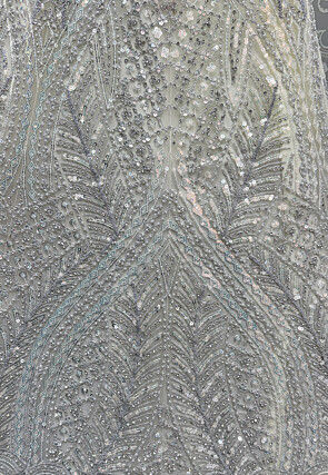 Embroidered Net Lehenga in White