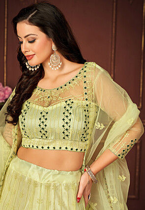 Embroidered Net Lehenga in Light Green