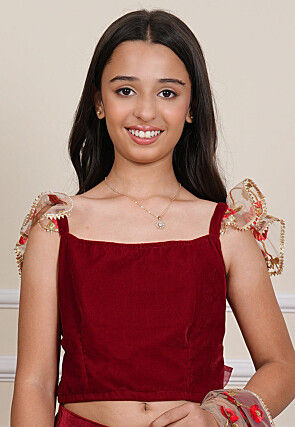 Embroidered Net Saree in Beige and Maroon