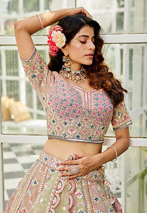 Embroidered Net Scalloped Lehenga in Multicolor