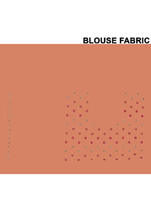 Embroidered Net Scalloped Saree in Peach