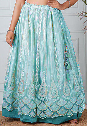 Embroidered Net Skirt in Sky Blue
